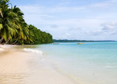 Andaman 3 Nights | 4 Days